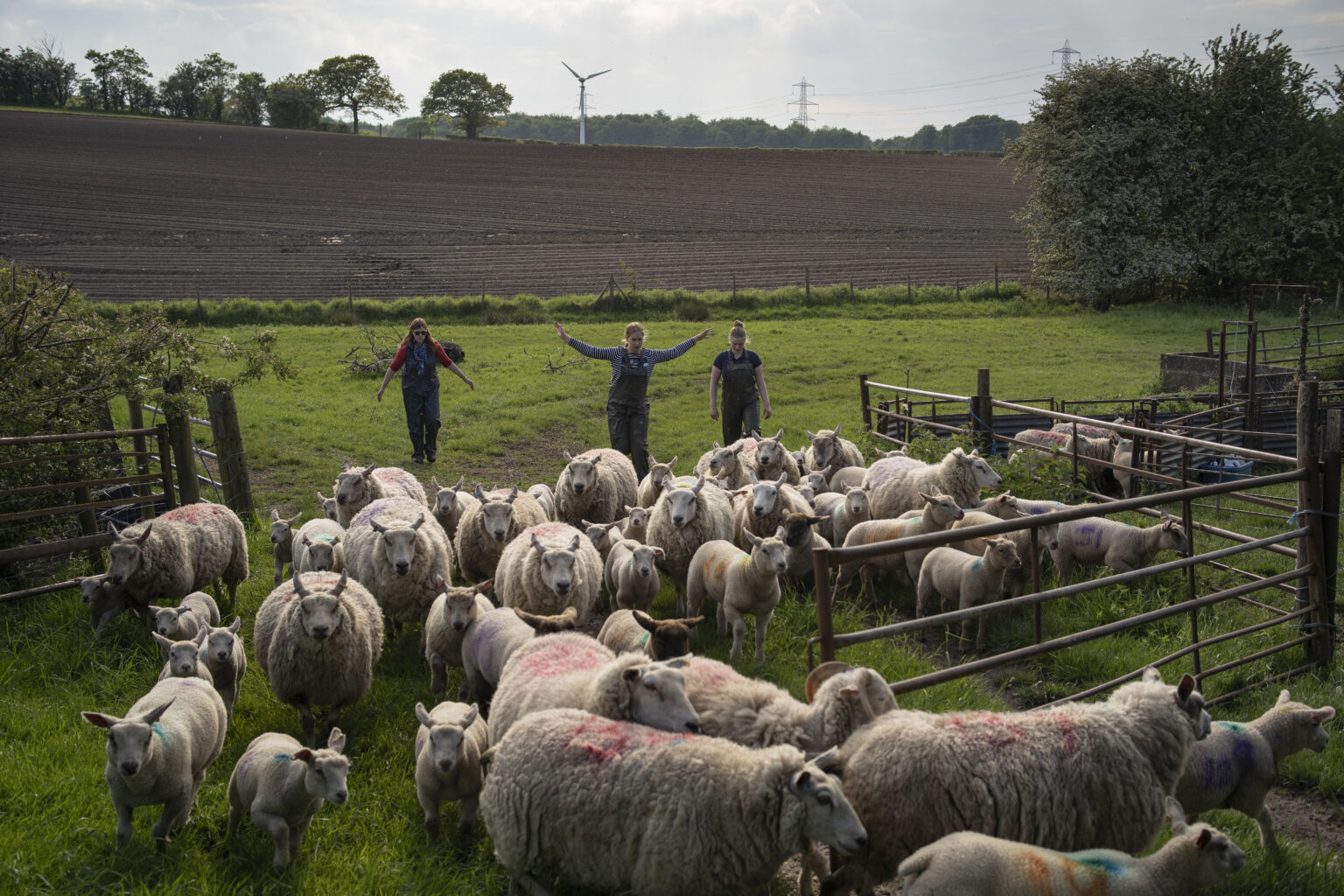 Meet the Speakers - Yorkshire Farming Conference